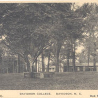 0082front.jpg