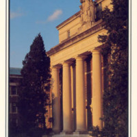 0146front.jpg
