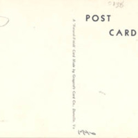 0138back.jpg