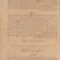 The_Bible_of_Omar_ibn_Sayyid0795.jpg