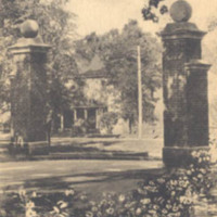 0061front.jpg