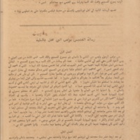 The_Bible_of_Omar_ibn_Sayyid0772.jpg