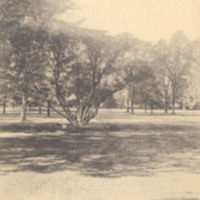 0062front.jpg