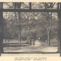 0081front.jpg