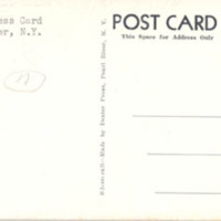 0091back.jpg