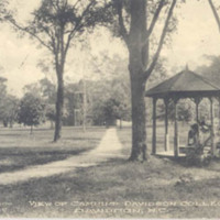 View on Campus, Davidson College, Davidson, N. C.
