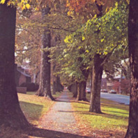 0161front.jpg
