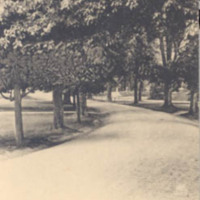 0064front.jpg