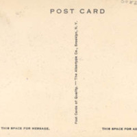 0082back.jpg